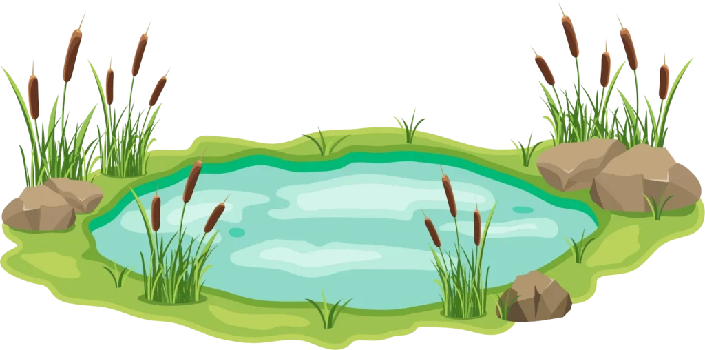 septic system pond